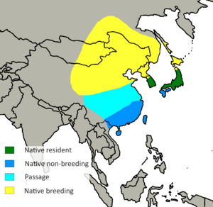 Spodiopsar cineraceus distribution.png