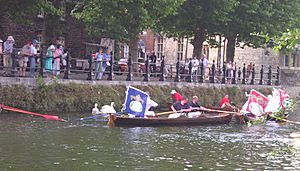 Swan Upping