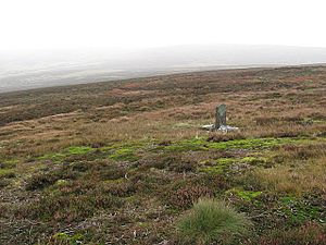 The Covananters Grave (geograph 2119494)