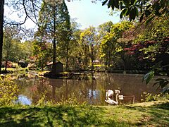 Tilling Springs, Broadmoor, pond