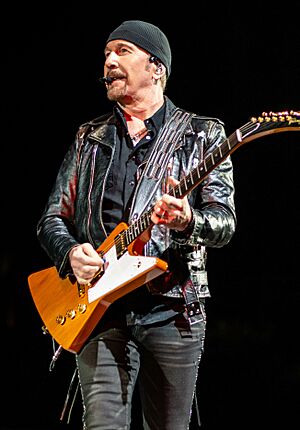 U2 in Melbourne (49094944907) (cropped).jpg