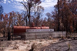 Waroona fire 2016 gnangarra 230116-115