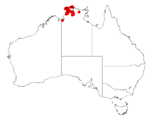 Acacia praelongataDistMap709.png