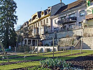 Avenches Stadtmauer