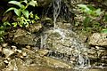 Barton Creek TX waterfall 1