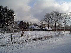 Broekhoven Riethoven Winter