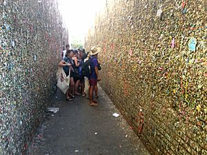 Bubblegum alley pn5