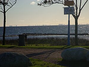 Copenhagen From Landskrona