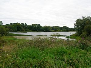 Cuffhill Reservoir.jpg