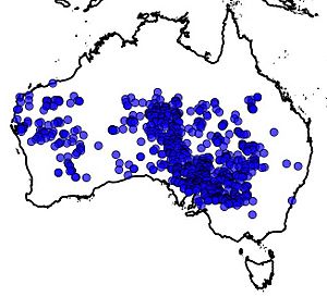 D.paradoxus Distrubution Map.jpg