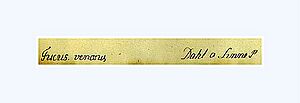 Dahl catalogue strip