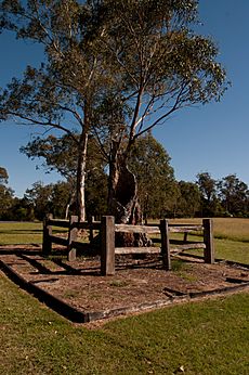 Ebenezer church gnangarra-10