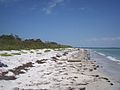 Egmont Key04