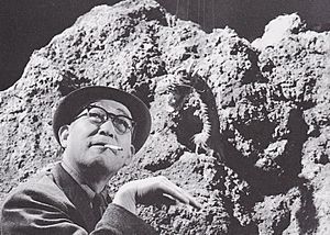 Eiji Tsuburaya Manda