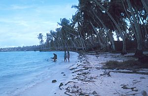 Fanning native outrigger