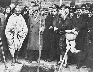 Gandhi planting a tree