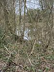 Moated site, Gannow Green