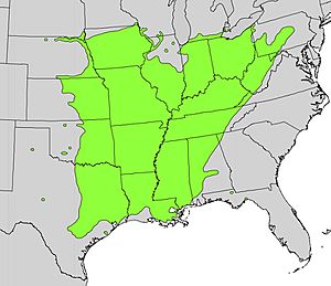 Gleditsia triacanthos range map.jpg