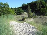 Indiana Dunes-State-Park-02.jpg