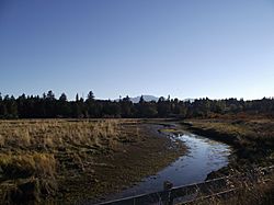 Marshall-Stevenson Wildlife Sanctuary, west