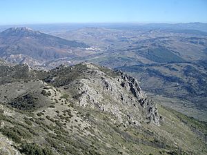 MontecortoDesdeCoros