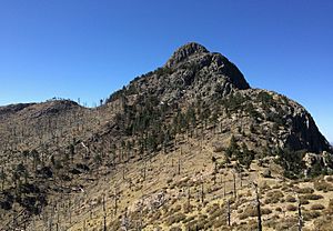 Mt. Wrightson summit