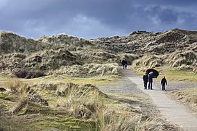 Murlough National Nature Reserve (17), February 2010.JPG