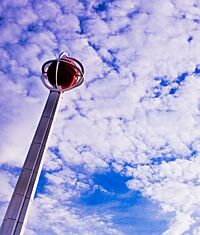 Naismith basketball pole