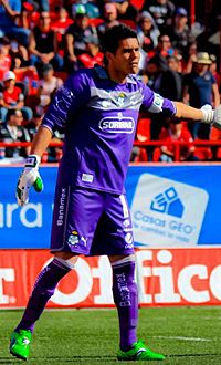 Oswaldo Sanchez Santos.jpg