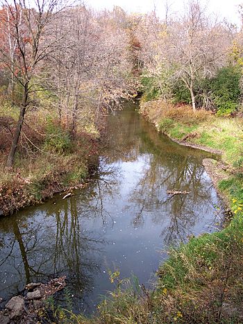 Rice Creek.jpg