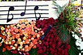 Roseparade1