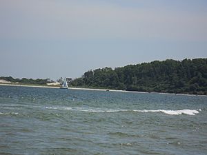 Sailboat from Sandy Point