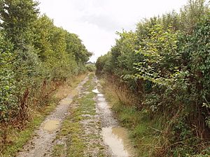 Saints Way footpath at Trenance - geograph.org.uk - 221875