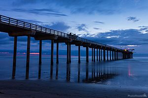 Scripps Pier 1