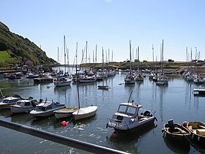 Seatonharbour