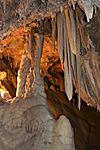 Lake Shasta Caverns