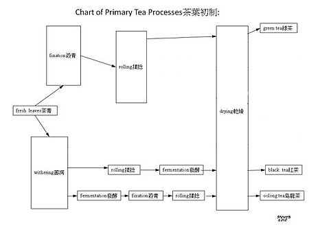 Teasteps2010btaiwan