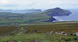 The Dingle Way - geograph.org.uk - 921111.jpg