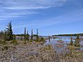 Thompson's Harbor State Park 9