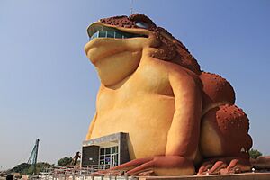 Toad museum Yasothon