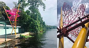 Tortuguero Pura Vida