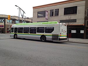 Transit Windsor 629