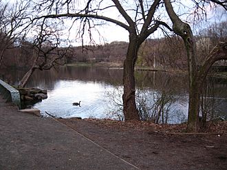 Van Cortlandt Park lake east jeh