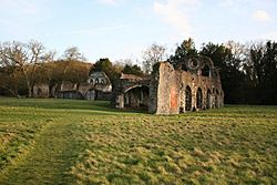 Waverley Abbey 03.jpg