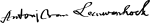 Antonie van Leeuwenhoek Signature.svg