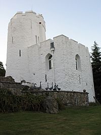 Benton Castle (geograph 2558966).jpg