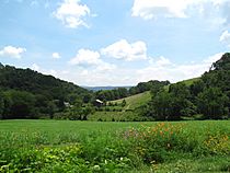 Big-Creek-Valley-Hawkins-tn1