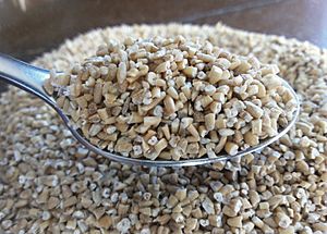 Bowl of dry steel-cut oats with full spoon