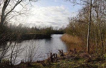 Bromham Lake 6