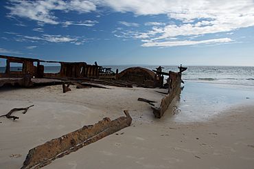 Bulwer wrecks, 2011.jpg